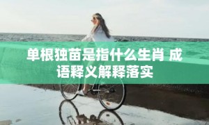 单根独苗是指什么生肖 成语释义解释落实