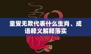 童叟无欺代表什么生肖、成语释义解释落实