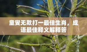 童叟无欺打一最佳生肖，成语最佳释义解释答