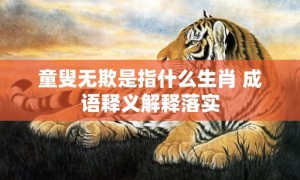 童叟无欺是指什么生肖 成语释义解释落实