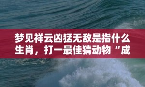 梦见祥云凶猛无敌是指什么生肖，打一最佳猜动物“成语最佳释义解释答”