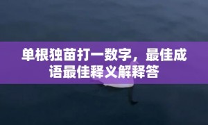 单根独苗打一数字，最佳成语最佳释义解释答