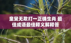 童叟无欺打一正确生肖 最佳成语最佳释义解释答