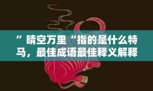 ”晴空万里“指的是什么特马，最佳成语最佳释义解释答