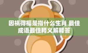 因祸得福是指什么生肖 最佳成语最佳释义解释答