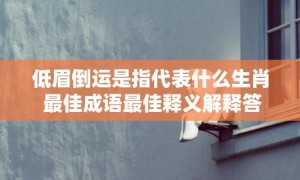 低眉倒运是指代表什么生肖 最佳成语最佳释义解释答