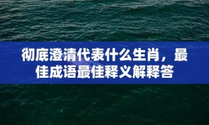 彻底澄清代表什么生肖，最佳成语最佳释义解释答