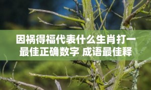 因祸得福代表什么生肖打一最佳正确数字 成语最佳释义解释答