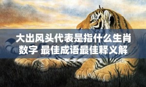 大出风头代表是指什么生肖数字 最佳成语最佳释义解释答