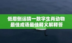 低眉倒运猜一数字生肖动物 最佳成语最佳释义解释答