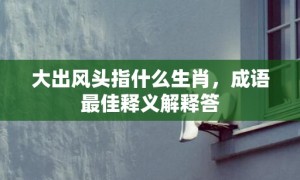 大出风头指什么生肖，成语最佳释义解释答