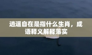 逍遥自在是指什么生肖，成语释义解释落实