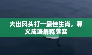 大出风头打一最佳生肖，释义成语解释落实