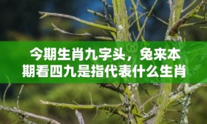 今期生肖九字头，兔来本期看四九是指代表什么生肖、成语释义解释落实