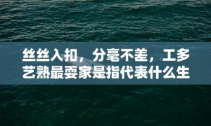 丝丝入扣，分毫不差，工多艺熟最耍家是指代表什么生肖、成语释义解释落实