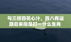 勾三搭四花心汁，四八有运跟后来指是打一什么生肖 “成语最佳释义解释答”