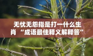 无忧无怨指是打一什么生肖 “成语最佳释义解释答”