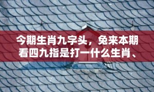 今期生肖九字头，兔来本期看四九指是打一什么生肖、成语释义解释落实