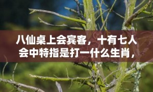 八仙桌上会宾客，十有七人会中特指是打一什么生肖，释义成语解释落实