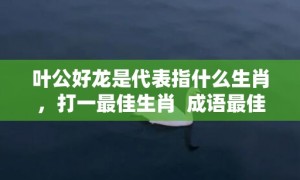 叶公好龙是代表指什么生肖，打一最佳生肖  成语最佳释义解释答