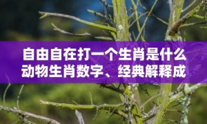 自由自在打一个生肖是什么动物生肖数字、经典解释成语答案