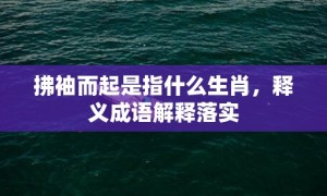 拂袖而起是指什么生肖，释义成语解释落实