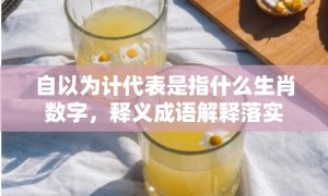 自以为计代表是指什么生肖数字，释义成语解释落实