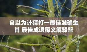 自以为计猜打一最佳准确生肖 最佳成语释义解释答