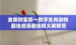 金银财宝猜一数字生肖动物 最佳成语最佳释义解释答