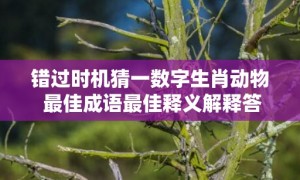 错过时机猜一数字生肖动物 最佳成语最佳释义解释答