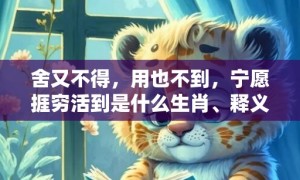 舍又不得，用也不到，宁愿捱穷活到是什么生肖、释义成语解释落实