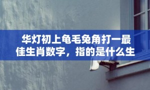 华灯初上龟毛兔角打一最佳生肖数字，指的是什么生肖，成语最佳释义解释答