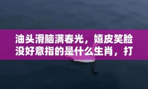 油头滑脑满春光，嬉皮笑脸没好意指的是什么生肖，打一最佳生肖数字，成语最佳释义解释答