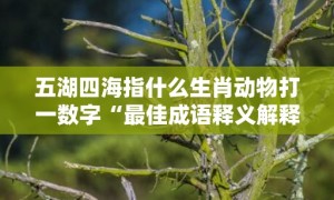 五湖四海指什么生肖动物打一数字“最佳成语释义解释答”