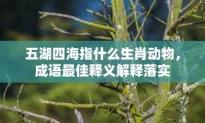 五湖四海指什么生肖动物，成语最佳释义解释落实