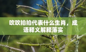 吹吹拍拍代表什么生肖，成语释义解释落实