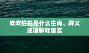 吹吹拍拍是什么生肖、释义成语解释落实