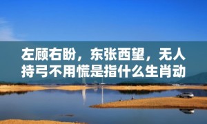 左顾右盼，东张西望，无人持弓不用慌是指什么生肖动物数字，成语释义解释落实答