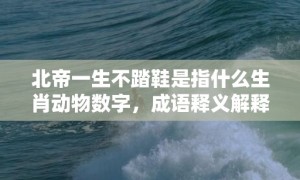 北帝一生不踏鞋是指什么生肖动物数字，成语释义解释落实答