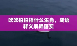 吹吹拍拍指什么生肖，成语释义解释落实