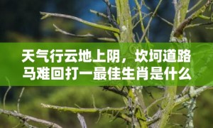 天气行云地上阴，坎坷道路马难回打一最佳生肖是什么动物 最佳成语最佳释义解释答