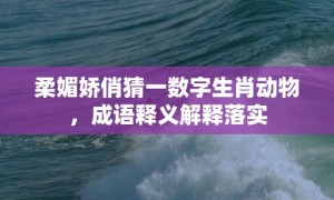 柔媚娇俏猜一数字生肖动物，成语释义解释落实