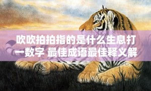 吹吹拍拍指的是什么生息打一数字 最佳成语最佳释义解释答