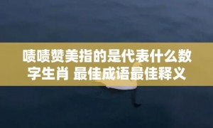 啧啧赞美指的是代表什么数字生肖 最佳成语最佳释义解释答