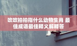 吹吹拍拍指什么动物生肖 最佳成语最佳释义解释答