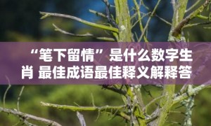 “笔下留情”是什么数字生肖 最佳成语最佳释义解释答