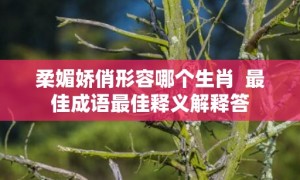 柔媚娇俏形容哪个生肖  最佳成语最佳释义解释答