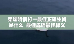 柔媚娇俏打一最佳正确生肖是什么  最佳成语最佳释义解释答