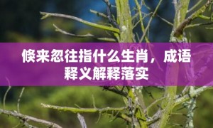 倏来忽往指什么生肖，成语释义解释落实