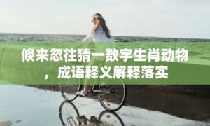 倏来忽往猜一数字生肖动物，成语释义解释落实